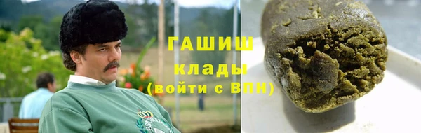 индика Волосово